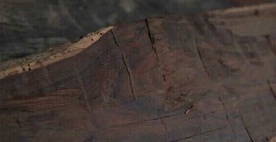 青蛙视频 请务必注意网络安全