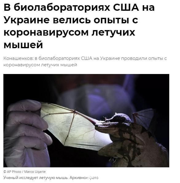 老狼一卡2卡3卡4卡2021免费 老狼可能让活动提前结束