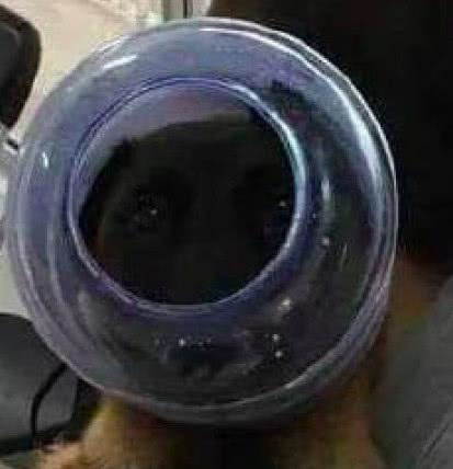 糖心vlog在线视频